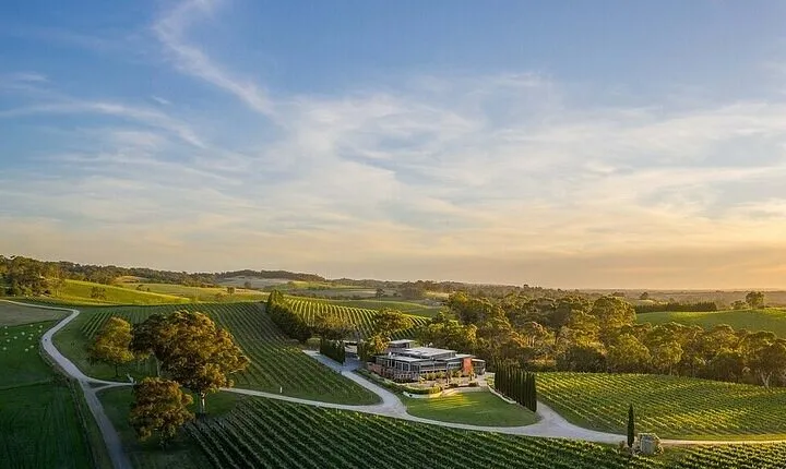 Phoenix Vortex to Vineyard Shared Tour