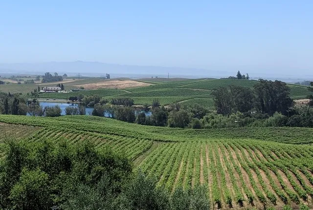 Napa and Sonoma Valley Wine 6 hour Tour from San Francisco