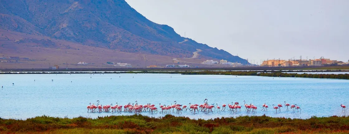 Cabo de Gata tour