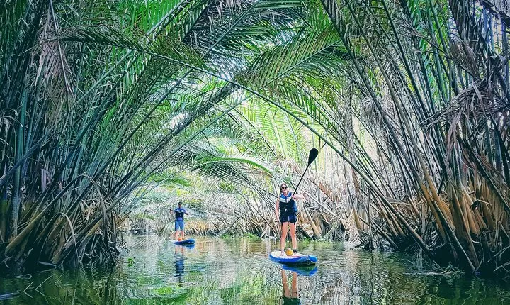 Paddling to explore the historic Vietnam War Rach Chiec jungle,