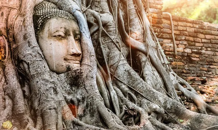 Private Guided Day Tour of the Ancient Ayutthaya