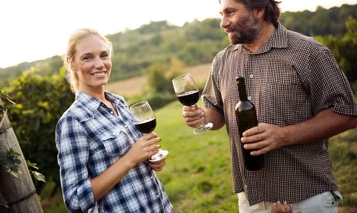 Full-Day Group Wine Tour (with cheese and charcuterie) in Niagara-on-the-Lake