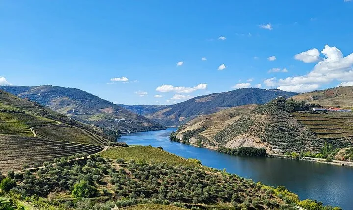 Private Douro Valley Tour (2 wineries + boat)
