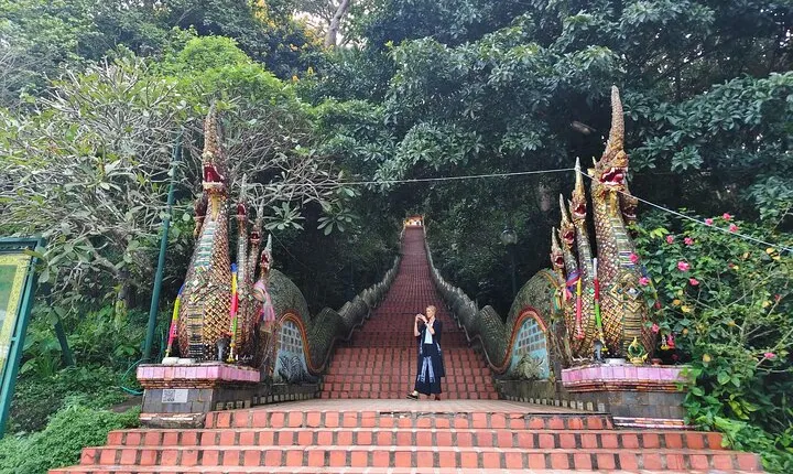 Doi Suthep, Wat Phalat and Wat Jedyod with famous Khao Soy lunch