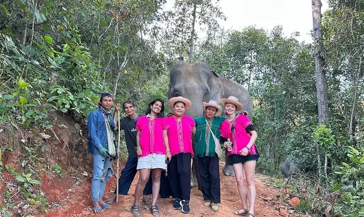 Ethical Elephant Observation Half Day from Chiang Mai