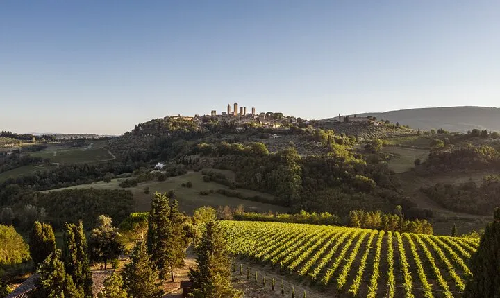 5 Wine Tastings in San Gimignano