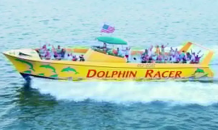St. Pete Beach Dolphin Racer Adventure