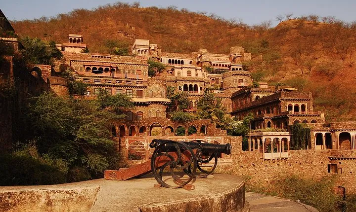 Private Custom Day Tour: Neemrana Sightseeing with Lunch