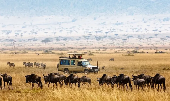 5-Days Private Safari Tour in Trangire, Serengeti, and Ngorongoro Crater