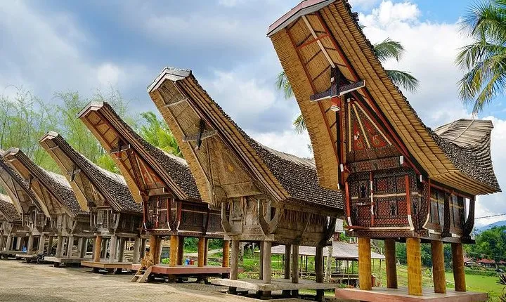 4 Days Toraja Cultural Tour from Makassar: Tongkonan Houses to Toraja Funerals