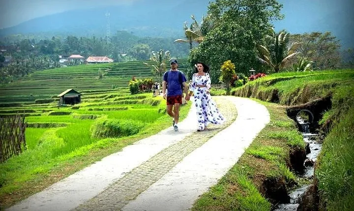 Jatiluwih Rice Terace & Swing Tour