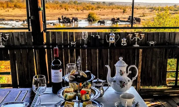 Safari and High Tea catered by Victoria Falls Hotel