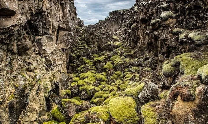 Golden Circle Private Tour with Secret Stops