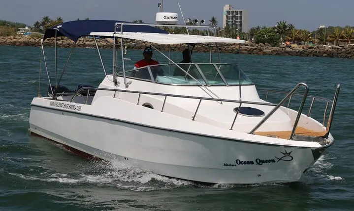 Sports Boat- Private Whale Watching Trip( free breakfast & paid pick-up)