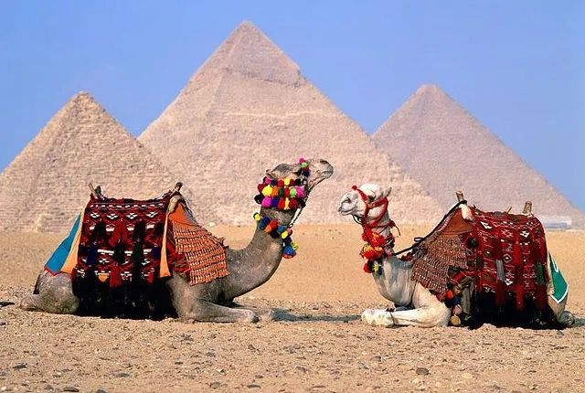 Enjoy Cairo , Pyramids, Museum and More : 3 Days Package With 5 Stars Hotel