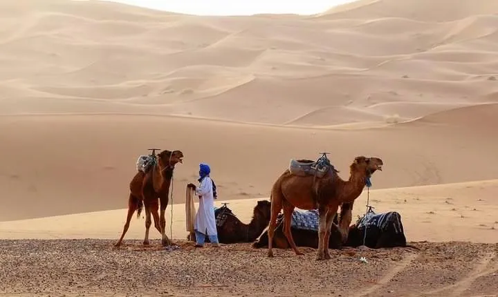 From Marrakech 4 Days Tour To Morocco Sahara Desert