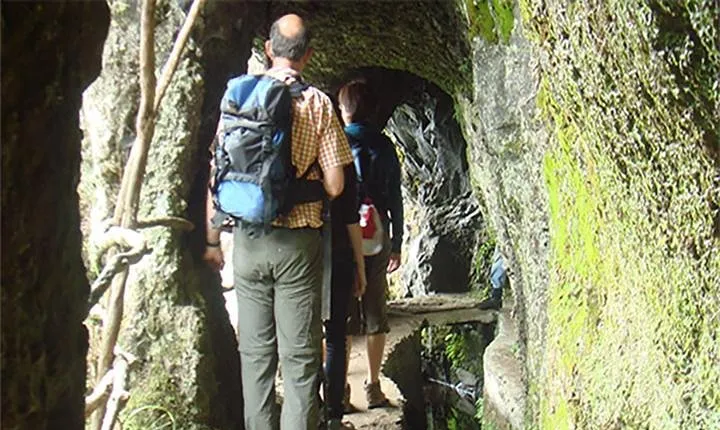 Laurissilva Forest Walk