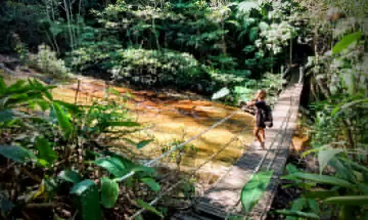 Adventure & History at Tijuca Forest (small group or private)