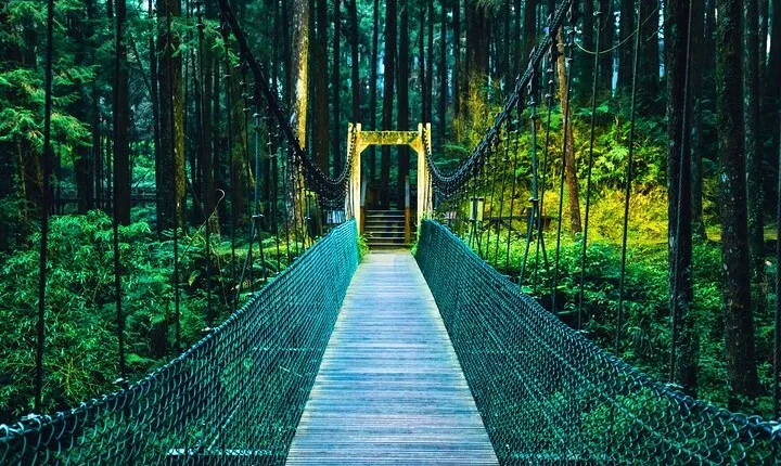 Alishan Join In Day Tour from Taichung (Incl. Park Entrance)