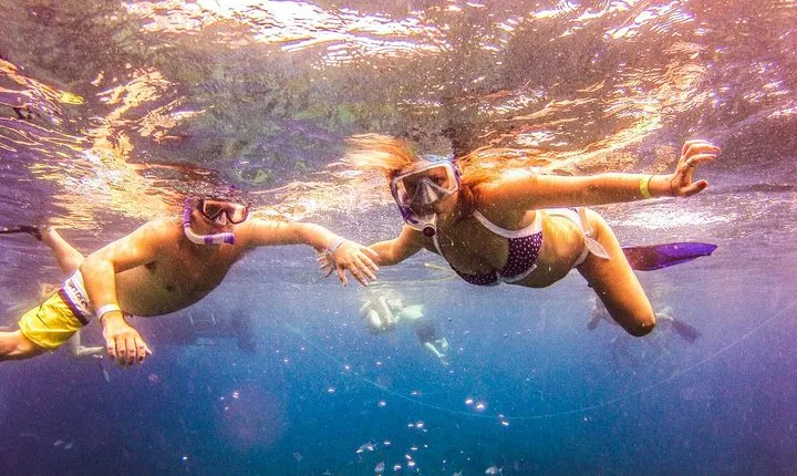 Full-Day Catalina Island Snorkeling Tour from Punta Cana