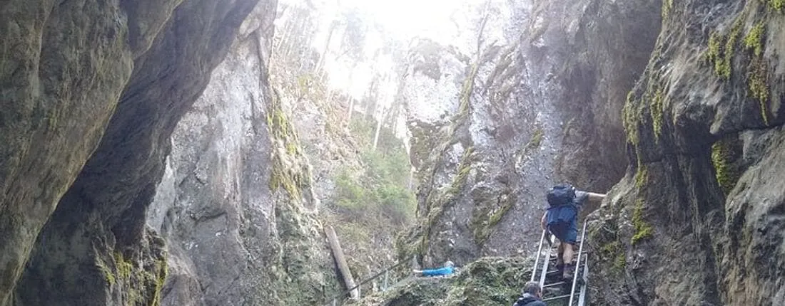 Small-group Castle, Canyon and Sparkling Wine day trip from Brasov