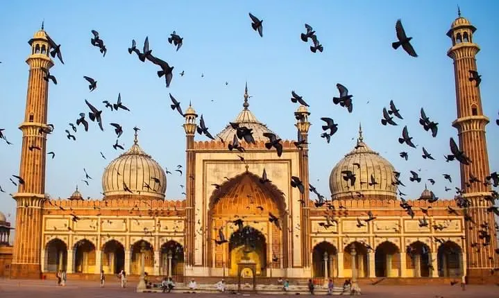 Explore Qutub Minar & Mehrauli Archaelogical Park with a Local Storyteller