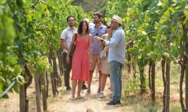 Farm tour with cheese & pizza experience, wine & Limoncello test