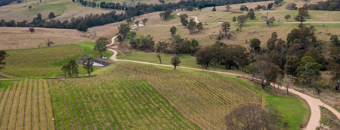Megalong Valley winery tour with tasting and lunch