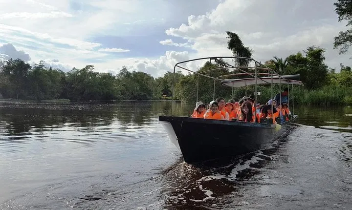 Full Day Klias Mangrove Wildlife and Fireflies with dinner