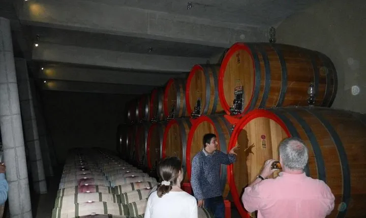 Private Wine Tour in Valparaiso