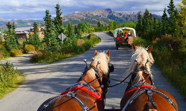 Horse-Drawn Covered Wagon Ride with Backcountry Dining