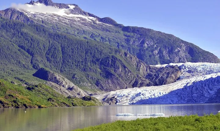 Mendenhall Glacier Trolley Tour