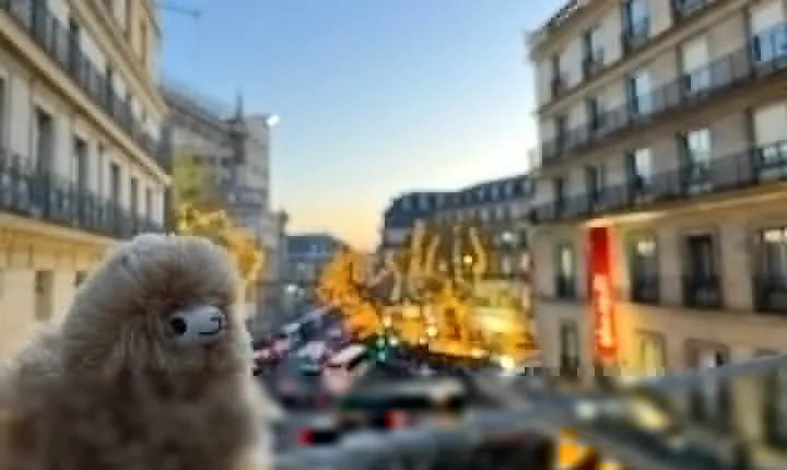 3-Hours Walking Tours Around Paris - Choose your own!