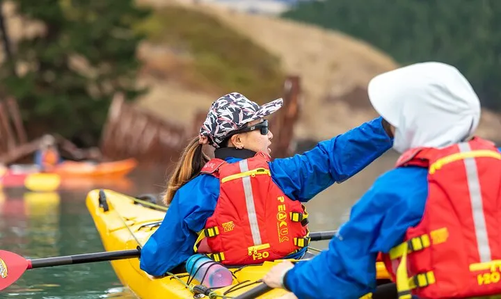 Sea Kayaking Lyttelton Harbour from Christchurch (Private Tour)
