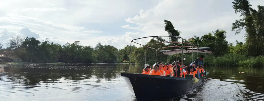 Klias mangrove wildlife and fireflies tour