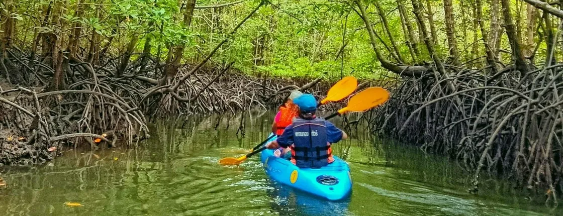 Kayaking, mangroves, and hidden islands from Koh Lanta