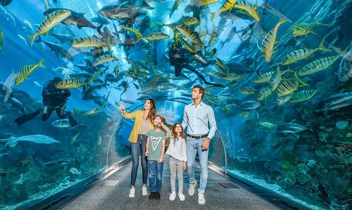 Dubai Mall Aquarium &Underwater Zoo Ticket's With Transfer