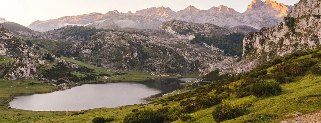 Picos de Europa guided tour