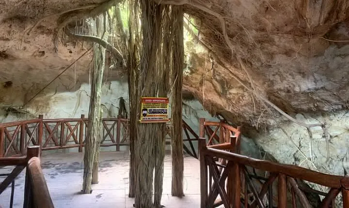 Cenote Adventure Tour