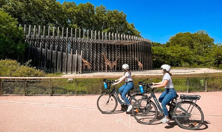 Electric bike ride in the Parc de la Tête d'Or - 2h