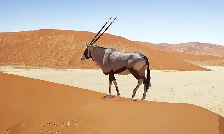 4 day Sossusvlei and Swakopmund Lodging