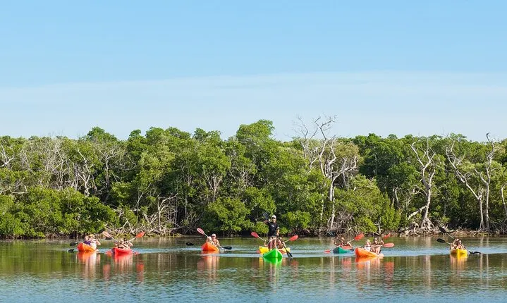 Half-Day Morning Trip from Key West with Kayaking and Snorkeling