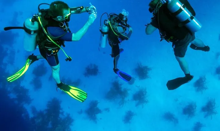 Kusadasi Scuba Diving