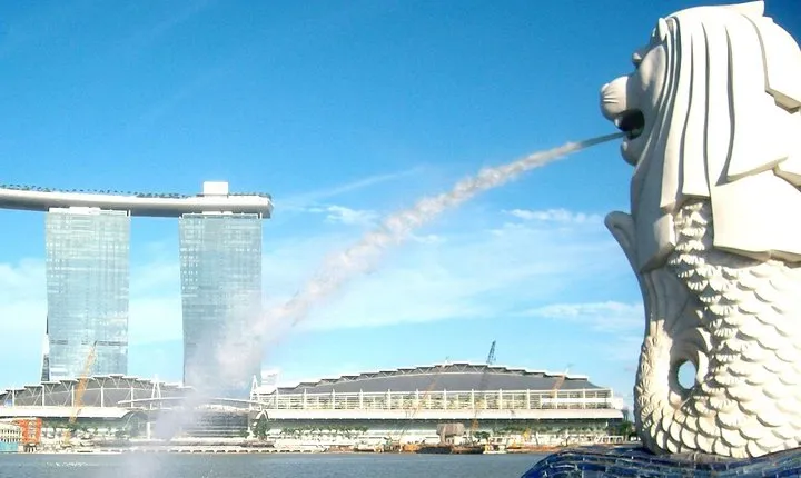 City Tour+Gardens by the Bay(FlowerDome&JurassicWorld) Transfers