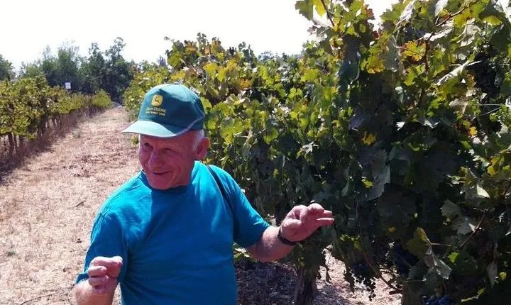 Private wine tour of Northern Israel