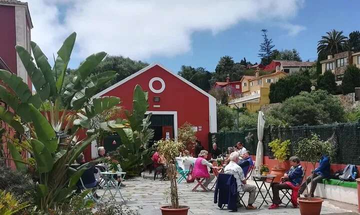 Winery Tour, Wine Museum, and Tasting in Gran Canaria