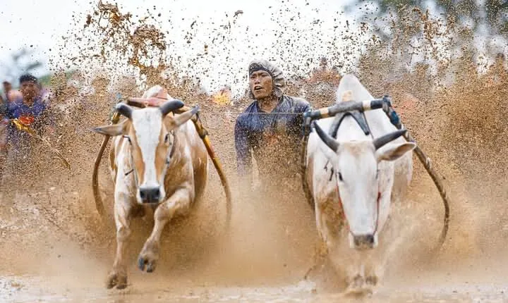 5-Days Private Tour in West Sumatera