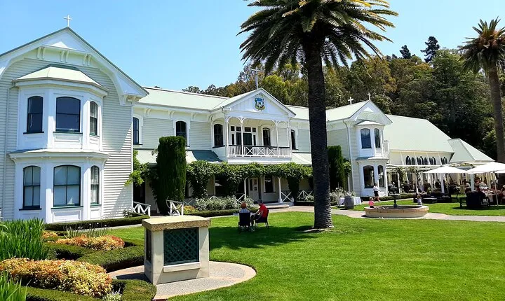 Napier Gourmet Luncheon + Wine & Gin Tasting ( no gin Mon - Wed )