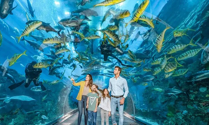 Dubai Mall Aquarium & Underwater Zoo Ticket with Private Transfer