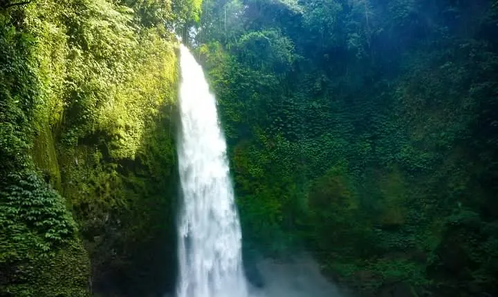 Private Tour Explore Nungnung Waterfall And Wanagiri Hidden hill